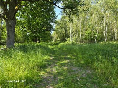 Acheter Terrain Montereau Loiret
