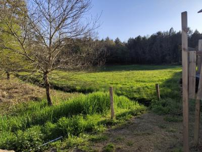 For sale Azur 8 rooms 180 m2 Landes (40140) photo 3