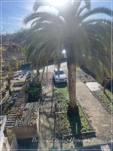 For sale Dax 12 rooms 300 m2 Landes (40100) photo 1