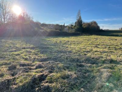 For sale Saint-paul-sur-save 714 m2 Haute garonne (31530) photo 2