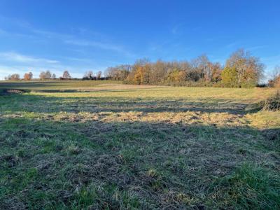 For sale Saint-paul-sur-save 714 m2 Haute garonne (31530) photo 3
