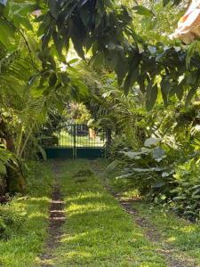 For sale Sainte-rose 3 rooms 165 m2 Reunion (97439) photo 0