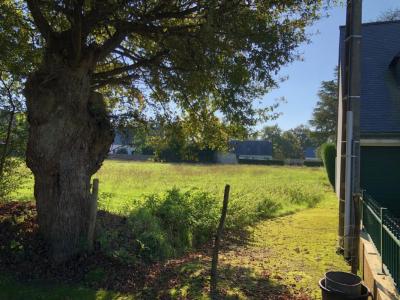 Annonce Vente Terrain Chapelle-sur-erdre 44