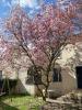 Vente Maison Raincy 7 pieces 145 m2