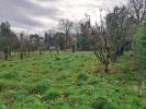 For sale Land Quily 800 m2