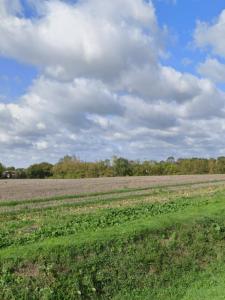 For sale Bouhet 403 m2 Charente maritime (17540) photo 1