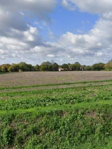 For sale Bouhet 403 m2 Charente maritime (17540) photo 2