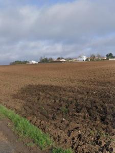 Annonce Vente Terrain Verines 17