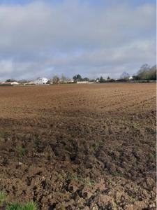 Acheter Terrain 300 m2 Verines