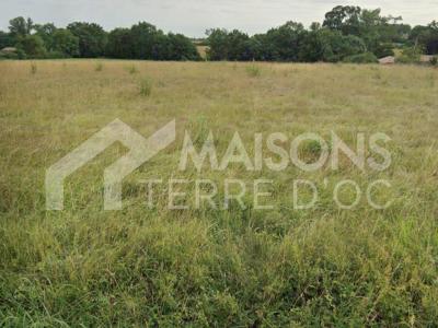 For sale Saint-lys 417 m2 Haute garonne (31470) photo 0