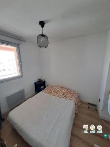Louer Appartement Toulouse 700 euros