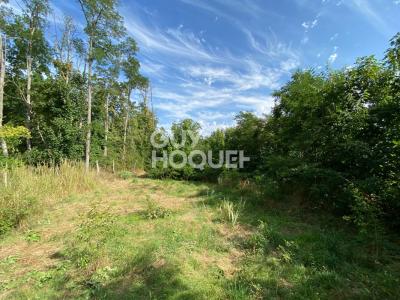 For sale Lacroix-saint-ouen 1289 m2 Oise (60610) photo 2