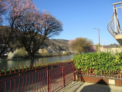 For sale Bogny-sur-meuse 6 rooms 130 m2 Ardennes (08120) photo 1