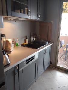 For rent Saint-laurent-du-var 2 rooms 45 m2 Alpes Maritimes (06700) photo 0