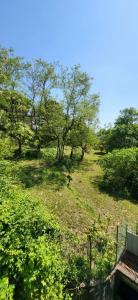 Acheter Terrain Contes Alpes Maritimes