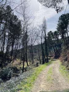 Acheter Terrain  Ardeche
