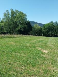 For sale Bas rhin (67440) photo 0