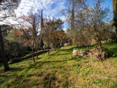 For sale Nimes 3 rooms 52 m2 Gard (30000) photo 1