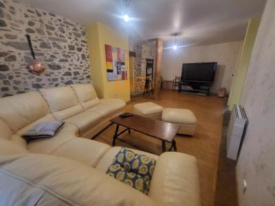 Acheter Maison 333 m2 Antugnac