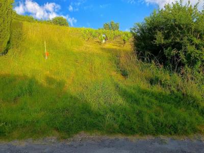 For sale Albi 2915 m2 Tarn (81000) photo 2