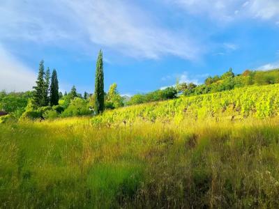 For sale Albi 2915 m2 Tarn (81000) photo 3