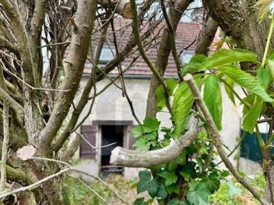 For sale Saint-sauveur 3 rooms 55 m2 Oise (60320) photo 1