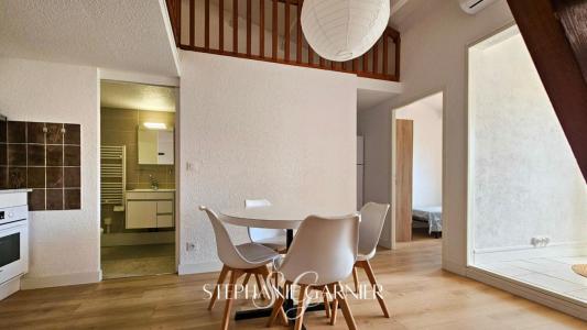 Annonce Vente 2 pices Appartement Saint-cyprien 66