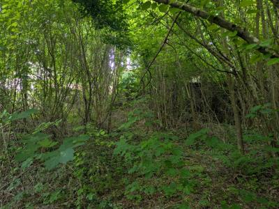 For sale Seraincourt 1047 m2 Val d'Oise (95450) photo 3