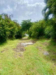 For sale Vieux-fort 973 m2 Guadeloupe (97141) photo 1