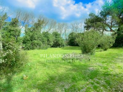 Acheter Maison 74 m2 Lauris