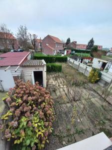 Annonce Vente Maison Carvin 62