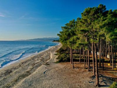 For sale Ghisonaccia 4 rooms 55 m2 Corse (20240) photo 0