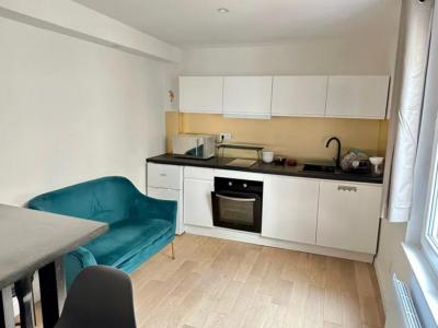 For rent Lyon-4eme-arrondissement 2 rooms 36 m2 Rhone (69004) photo 1