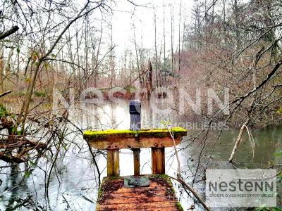 For sale Chemery LE-CONTROIS-EN-SOLOGNE 32767 m2 Loir et cher (41700) photo 0
