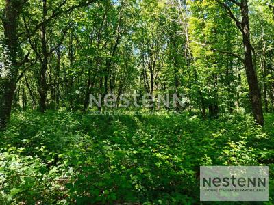 Acheter Terrain Chemery 429900 euros