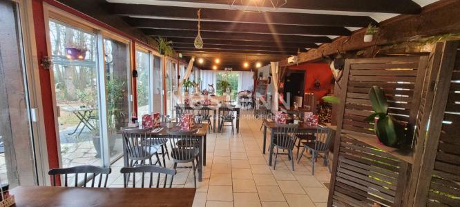 Annonce Vente Commerce Couddes 41