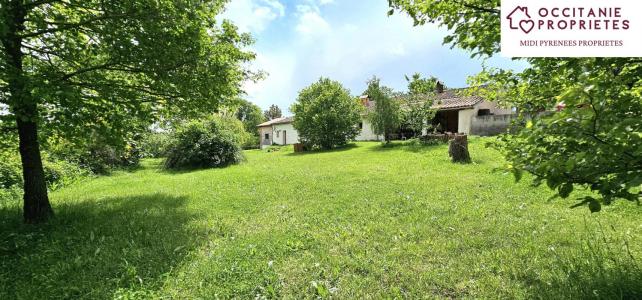 For sale Marquefave 6 rooms 260 m2 Haute garonne (31390) photo 3