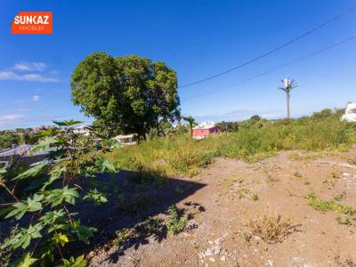 Annonce Vente Terrain Saint-pierre 974