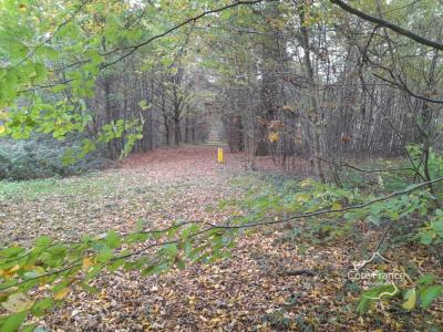 For sale Nouvion-en-thierache 13 rooms 462 m2 Aisne (02170) photo 3