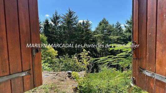 Annonce Vente 7 pices Maison Saint-michel-de-chabrillanoux 07