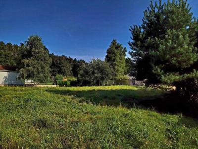 Annonce Vente Terrain Saales 67