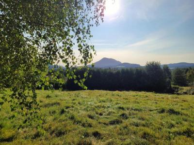 Acheter Terrain 1352 m2 Saales