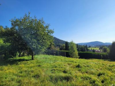 Acheter Terrain Saales Bas rhin