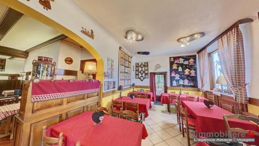 For sale Sainte-croix-aux-mines 245 m2 Haut rhin (68160) photo 1