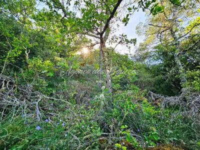 Annonce Vente Terrain Bras 83