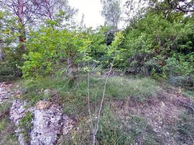 Acheter Terrain Bras Var