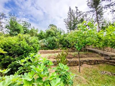 Annonce Vente Terrain  83