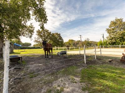 For sale 6 rooms 140 m2 Gironde (33480) photo 3