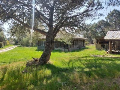 For sale FORET ET PLAGES 4 rooms 92 m2 Landes (40660) photo 1