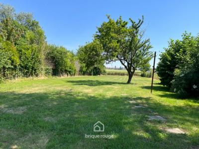 For sale Leforest 1 room 880 m2 Pas de calais (62790) photo 0